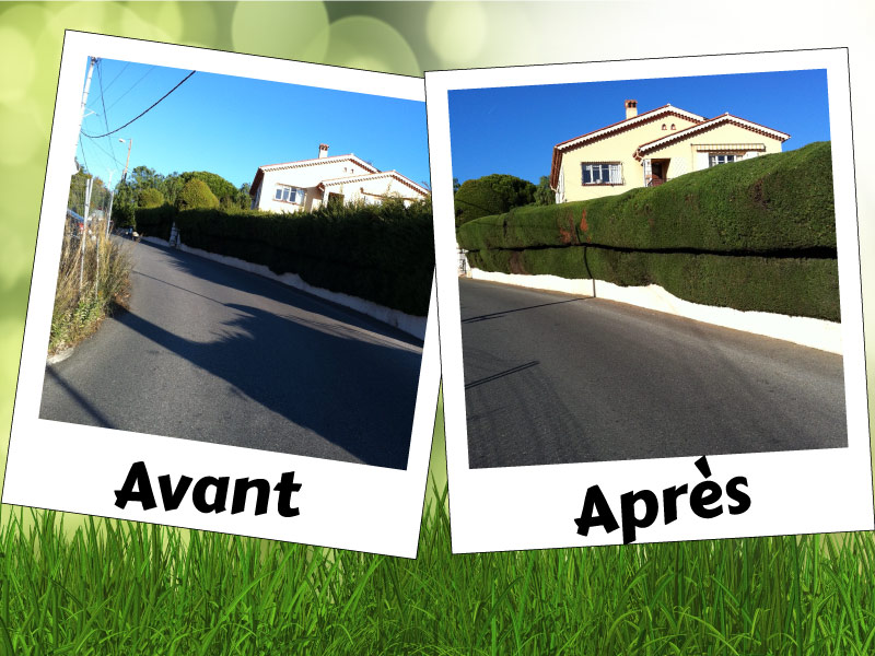 taille-haie-rue